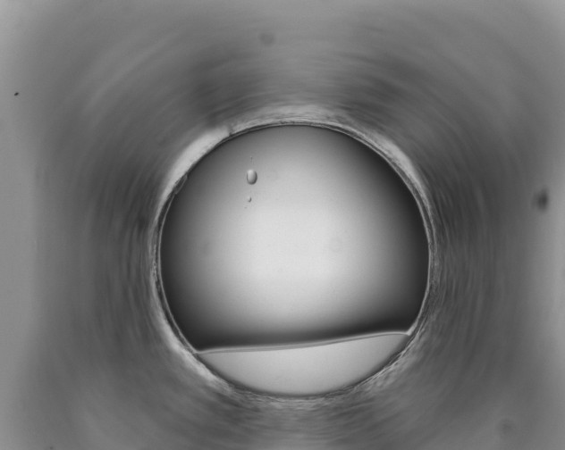 X0000090891389200707271029