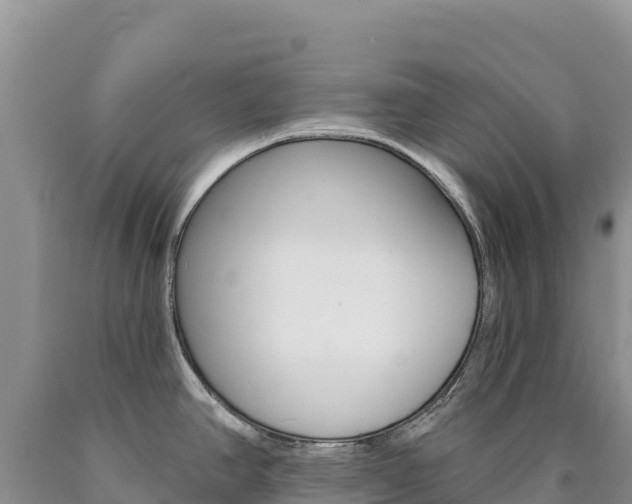 X0000090891390200707271029