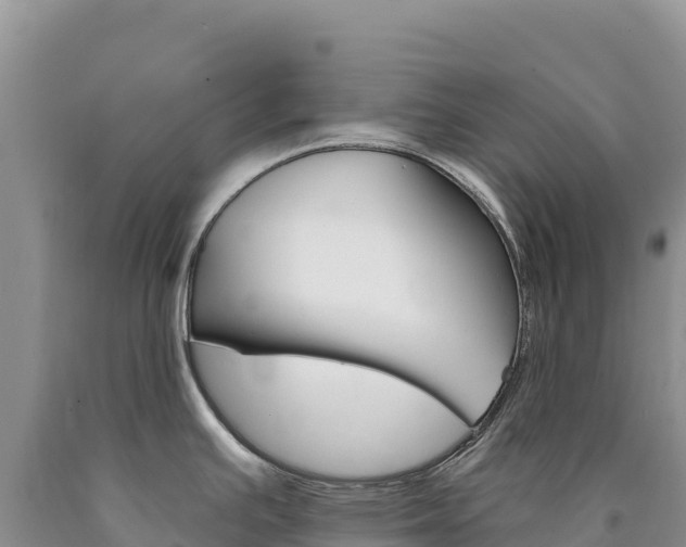 X0000090891391200707271029