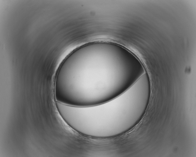 X0000090891392200707271029
