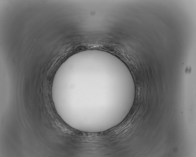 X0000090891393200707271028