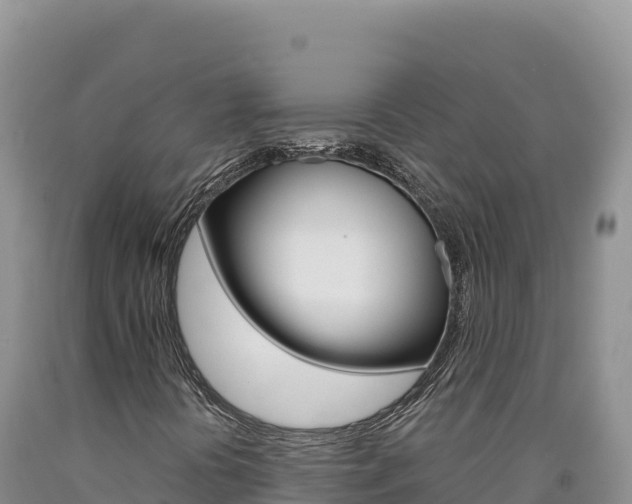 X0000090891394200707271028