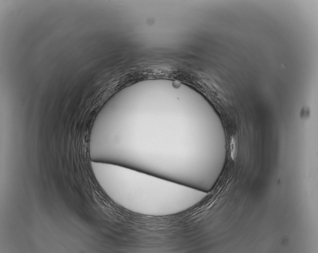 X0000090891395200707271028