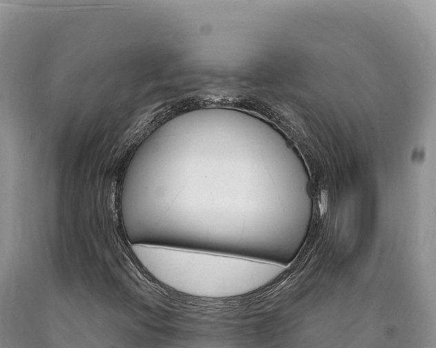 X0000090891396200707271029