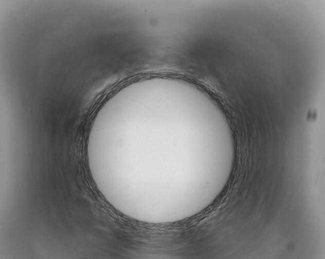 X0000090891398200707271029