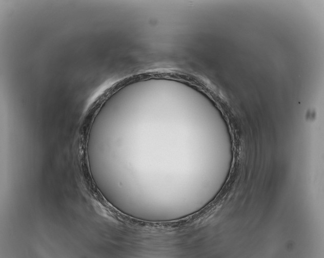 X0000090891400200707271029