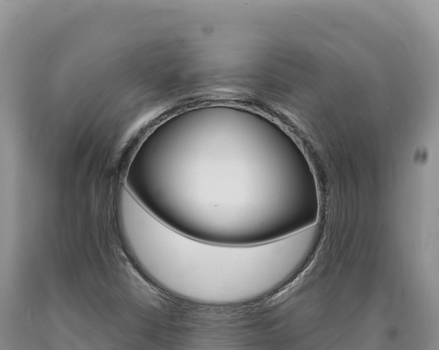 X0000090891402200707271029