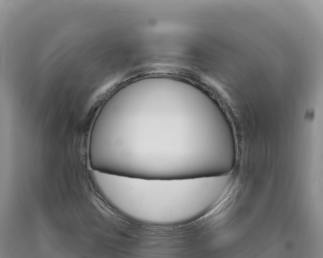 X0000090891403200707271029
