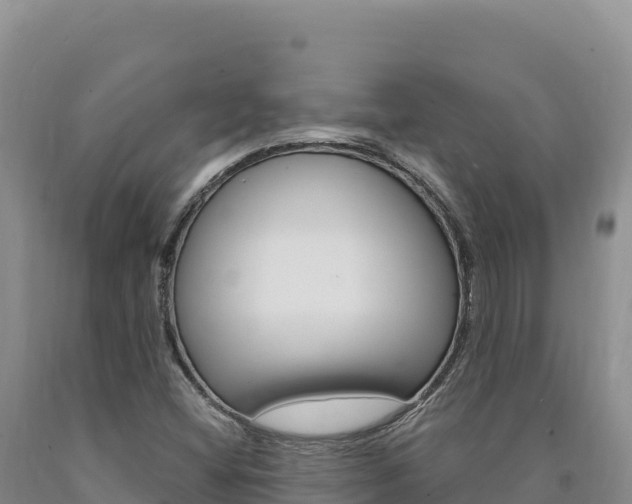X0000090891404200707271029