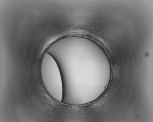 X0000090891405200707271029