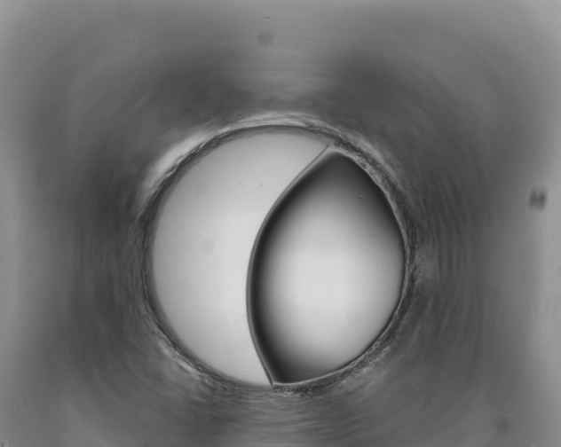 X0000090891406200707271029