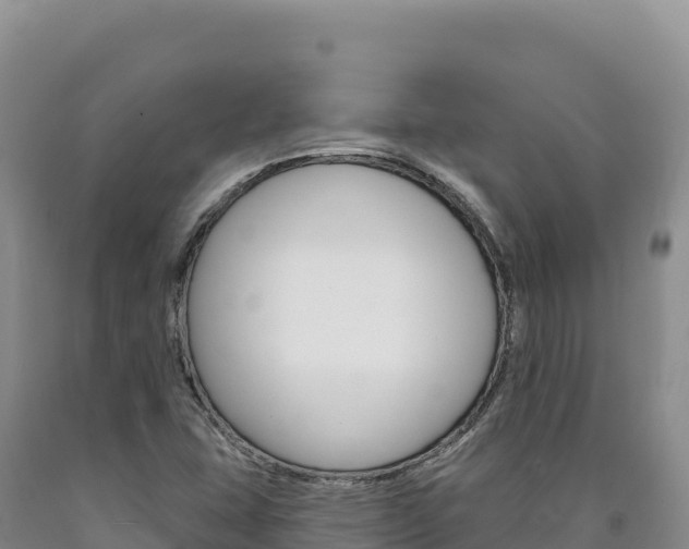 X0000090891407200707271029