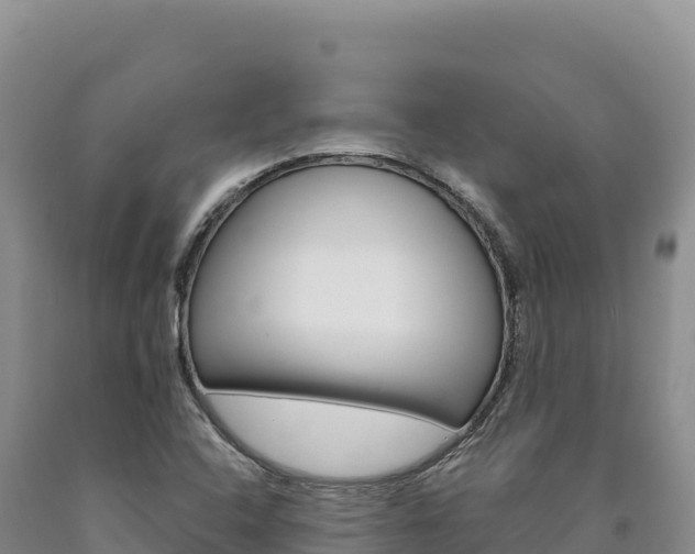 X0000090891408200707271029