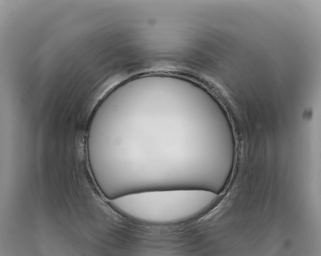 X0000090891409200707271029