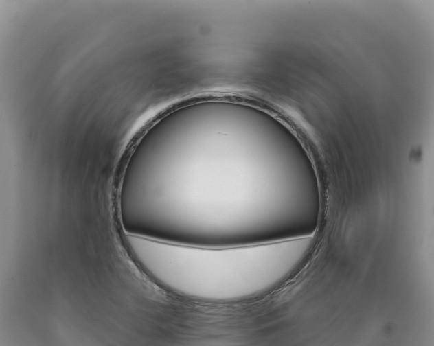 X0000090891412200707271029