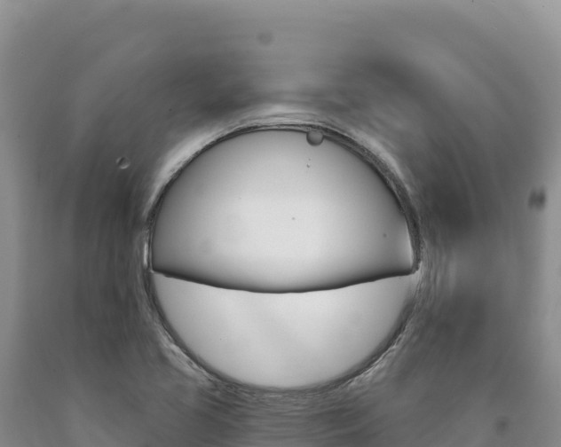 X0000090891413200707271029
