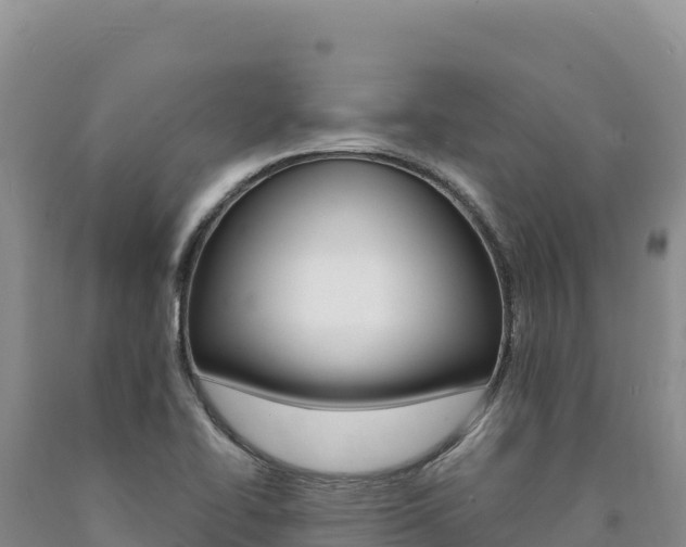 X0000090891414200707271029