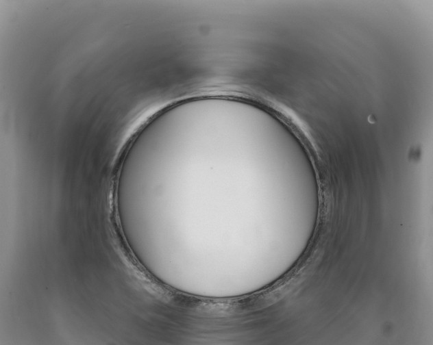 X0000090891415200707271029