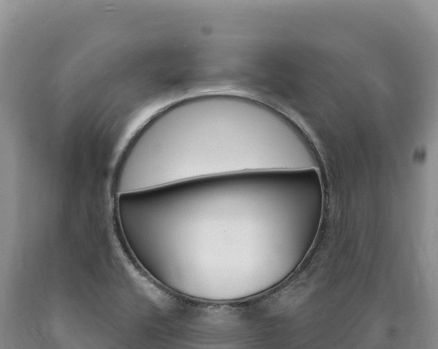 X0000090891416200707271029