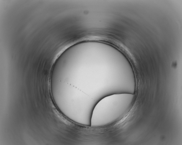 X0000090891417200707271029