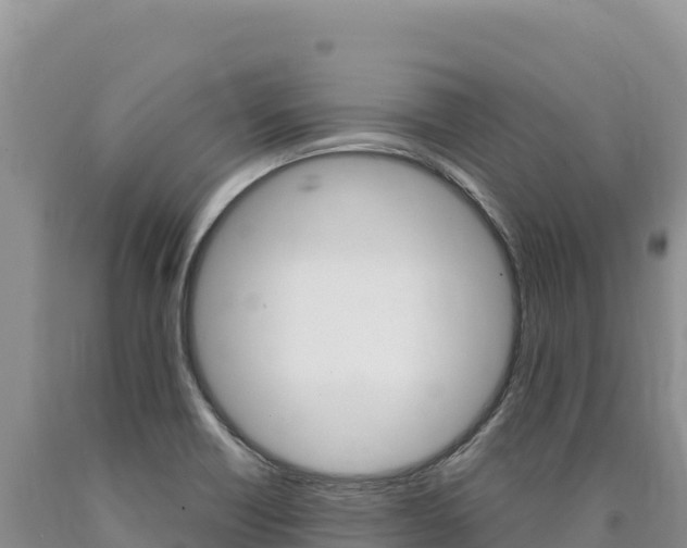 X0000090891418200707271029