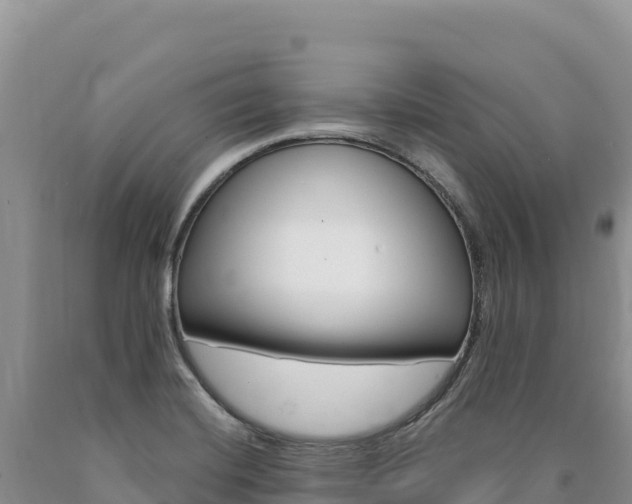 X0000090891420200707271029