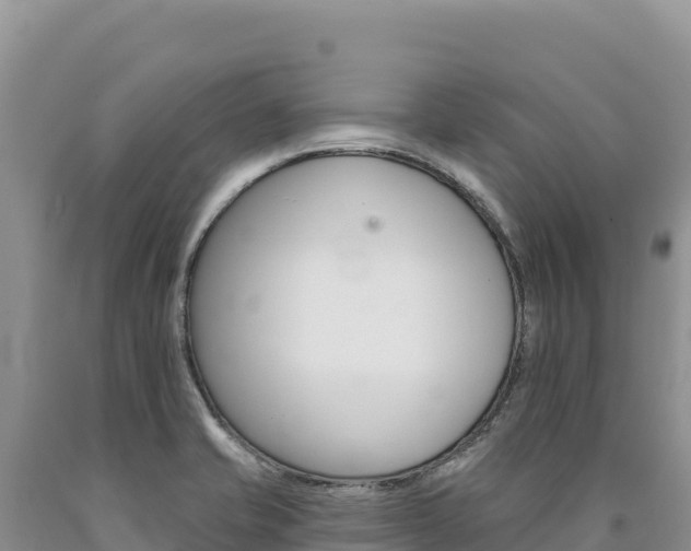 X0000090891421200707271029