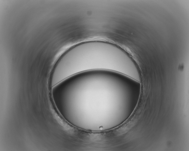 X0000090891422200707271029