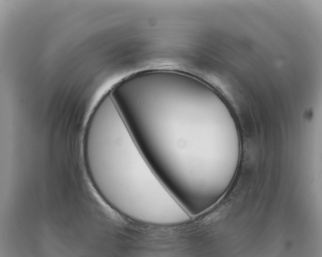 X0000090891424200707271029