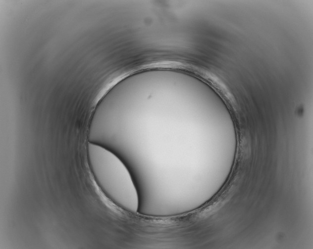 X0000090891425200707271029