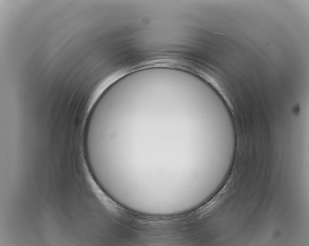X0000090891426200707271029
