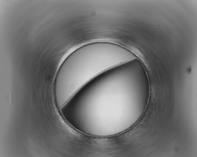 X0000090891428200707271029