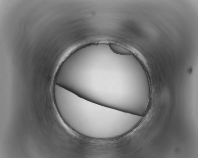 X0000090891429200707271029