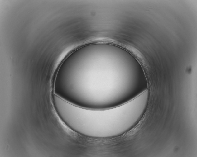 X0000090891430200707271029