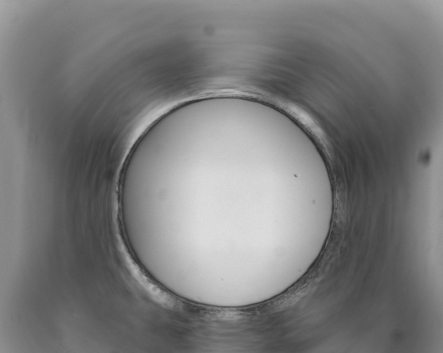 X0000090891431200707271029