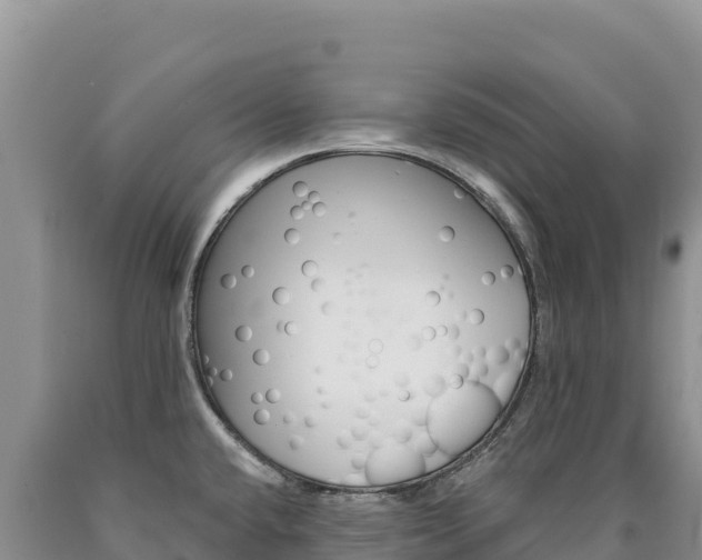 X0000090891432200707271029