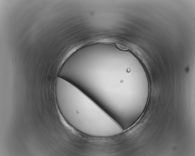 X0000090891433200707271029