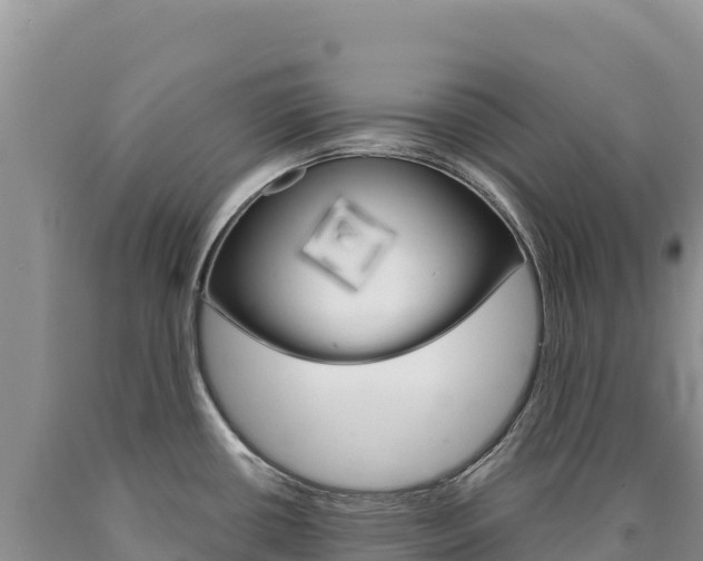 X0000090891434200707271029