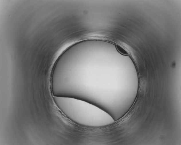 X0000090891435200707271029