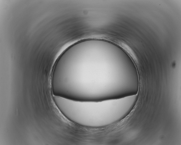 X0000090891436200707271029