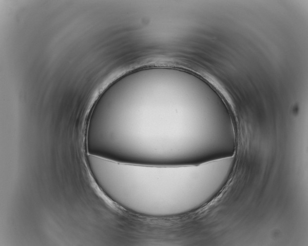 X0000090891437200707271029