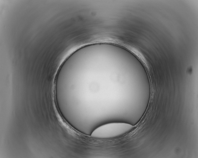 X0000090891439200707271029