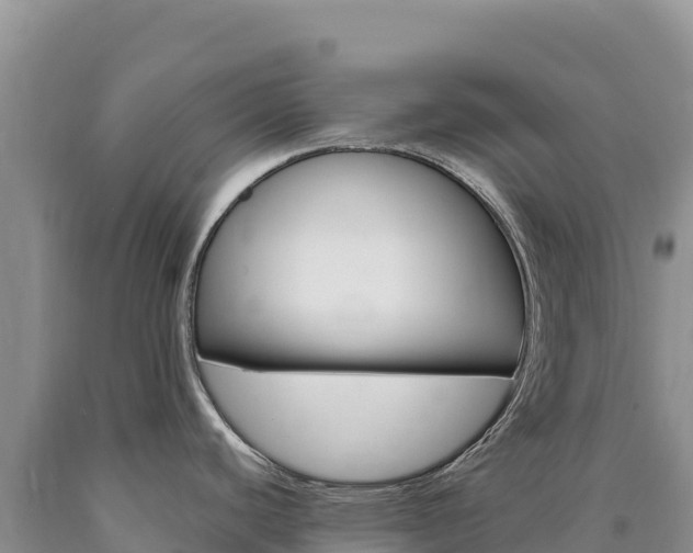 X0000090891440200707271029