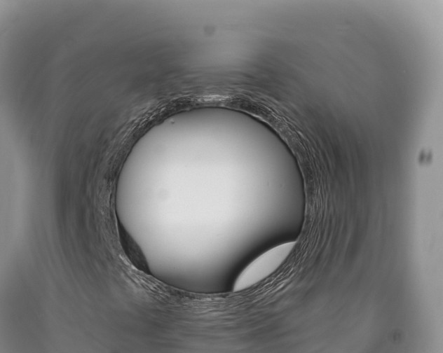 X0000090891441200707271028