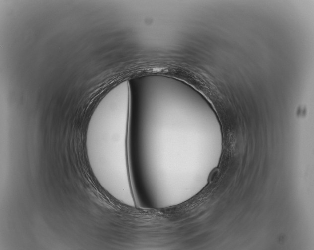 X0000090891442200707271028