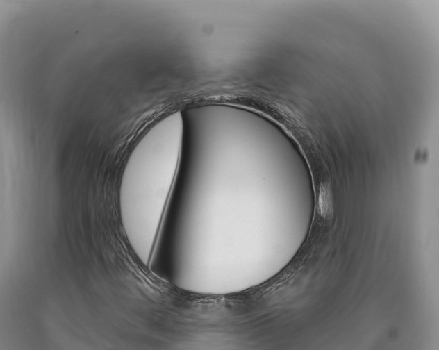 X0000090891444200707271028