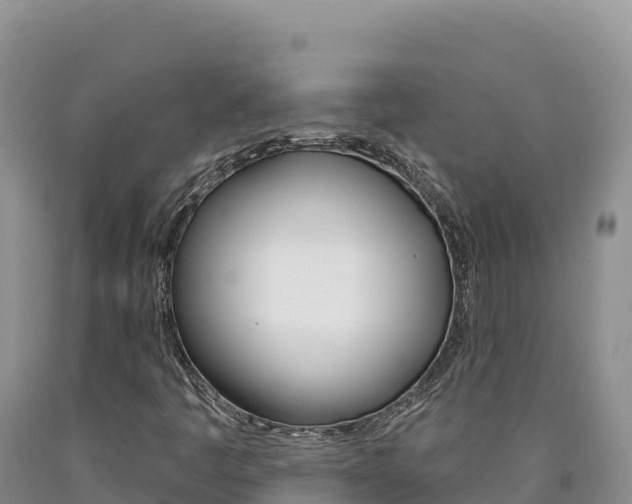 X0000090891445200707271028