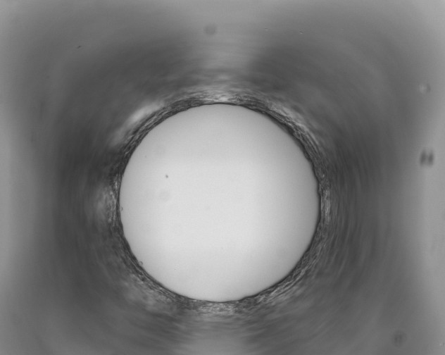 X0000090891446200707271028
