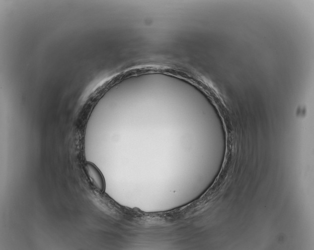 X0000090891448200707271028