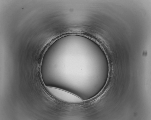 X0000090891449200707271028